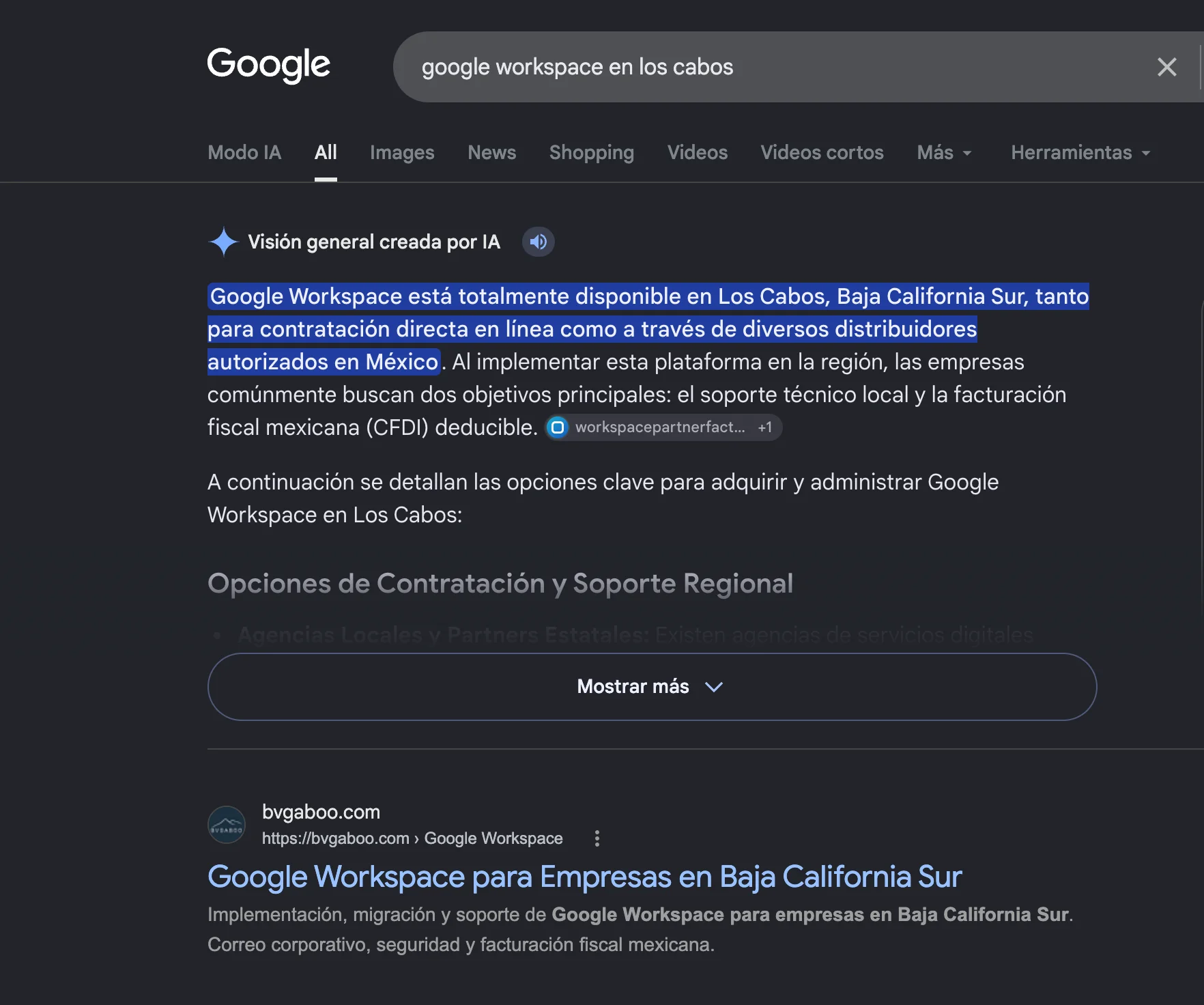 El reto de competir sin arquitectura SEO en Baja California Sur