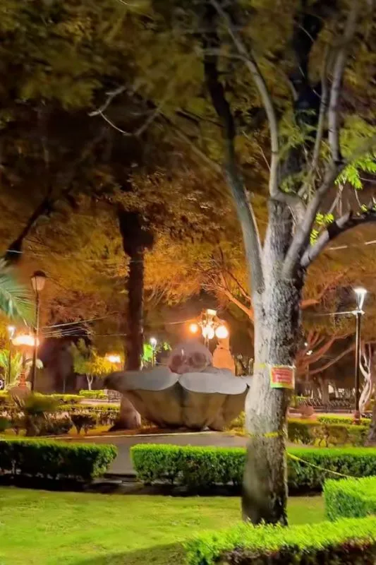 Cafeterías en Tequisquiapan, san luis potosí