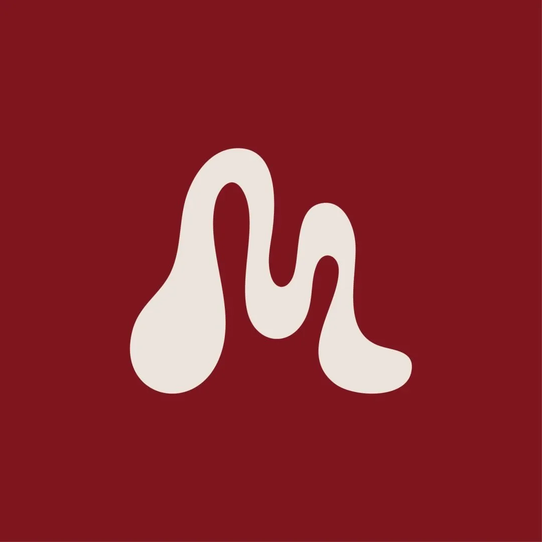 Logo de Messy studio