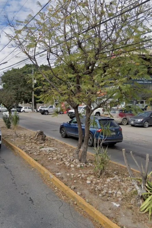 Restaurantes en Lomas 1ra Sección, san luis potosí